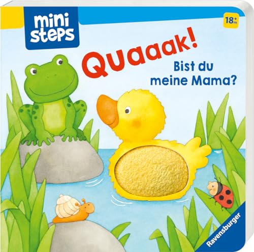 ministeps: Quak! Bist du meine Mama?: Ab 18 Monaten (ministeps Bücher)