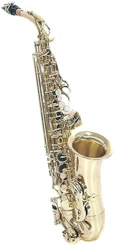 PLAYTECH (vCebN) AgTbNX rMi[f CG[uX Z~n[hP[Xt