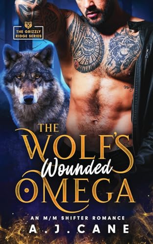 The Wolf'S Wounded Omega: An Mm Shifter Romance (Grizzly Ridge)