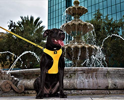 Image of Classic Dog Harness Innovative Mesh No Pull No Choke Design Soft Double Padded Breathable Vest for Eco-Friendly Easy Control Walking For Large Puppies Full size breeds & Extra Large Dogs (XXL, Yellow)