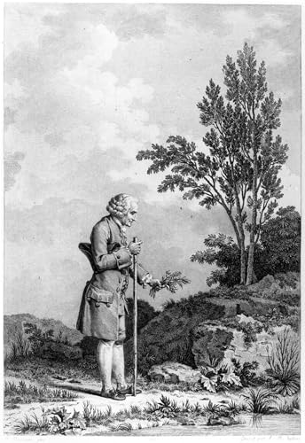 Lienzo decorativo para pared de salón o dormitorio cuadro de Jean Jacques Rousseau de 60x90cm