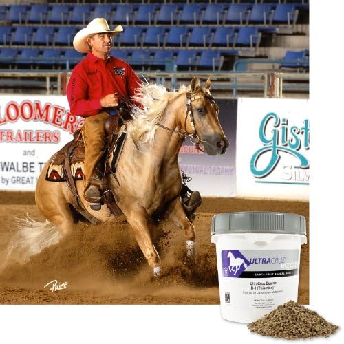 UltraCruz Equine Vitamin B1 Supplement for Horses, 2.5 lb