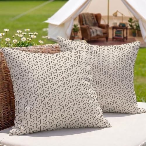 �N�b�V�����J�o�[�����h�� ���O 2���Z�b�g 30x30 cm ���l�� ���ʈ�� ���� ���O�p �N�b�V���� �P�[�X ���� �O ���p �A�E�g�h�A �L�����v �x�����_ �� �e���X �\�t�@�[�p (�􉽊w) 3Z-312