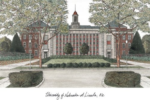 Campus Images NCAA Nebraska Cornhuskers Unisex Manhattan Black, Black, One Size