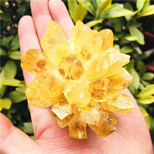 Yellow Ghost Quartz Crystal Cluster Crystals Rough Gemstone Home Office Decor feng Ornaments (Size : 300-400g)