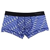 [グレイブボールト] ローライズ ボクサーパンツ メンズ 下着 DOMINO 3052281 Down_Blue M