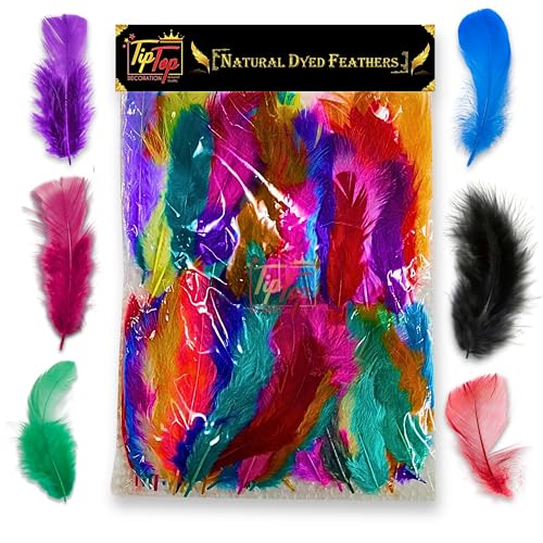 Image of Natural Dyed Feathers 10 cm (80 pieces) (Playful Multi)