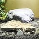 SunGrow Mineral Rocks für Aquarium, magnesiumreiche Steine, Farbverstärker für Haustiere, Calcium hilft beim Häuten, dienen als Nahrungsergänzungsmittel, verbessern die Wasserqualität, 2 Unzen