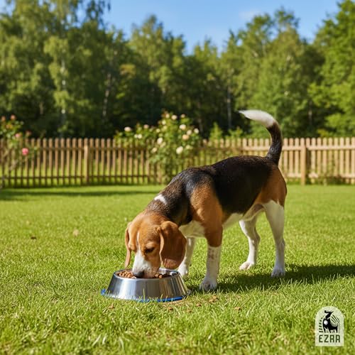 Image of Ezra Comfort Stainless Steel Dog Bowl | Anti-Skid Pet Feeding Bowl for Food & Water | Durable & Easy to Clean Bowl for Dogs & Puppies, 2800 ml
