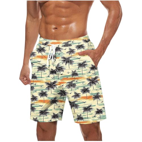 Men Summer Beach Swim Trunks Gradient Color Quick Dry Swimwear Bathing Suits with Zipper Pockets Mesh Lining