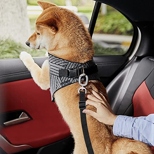 Cintura di sicurezza per cani da auto, cintura di