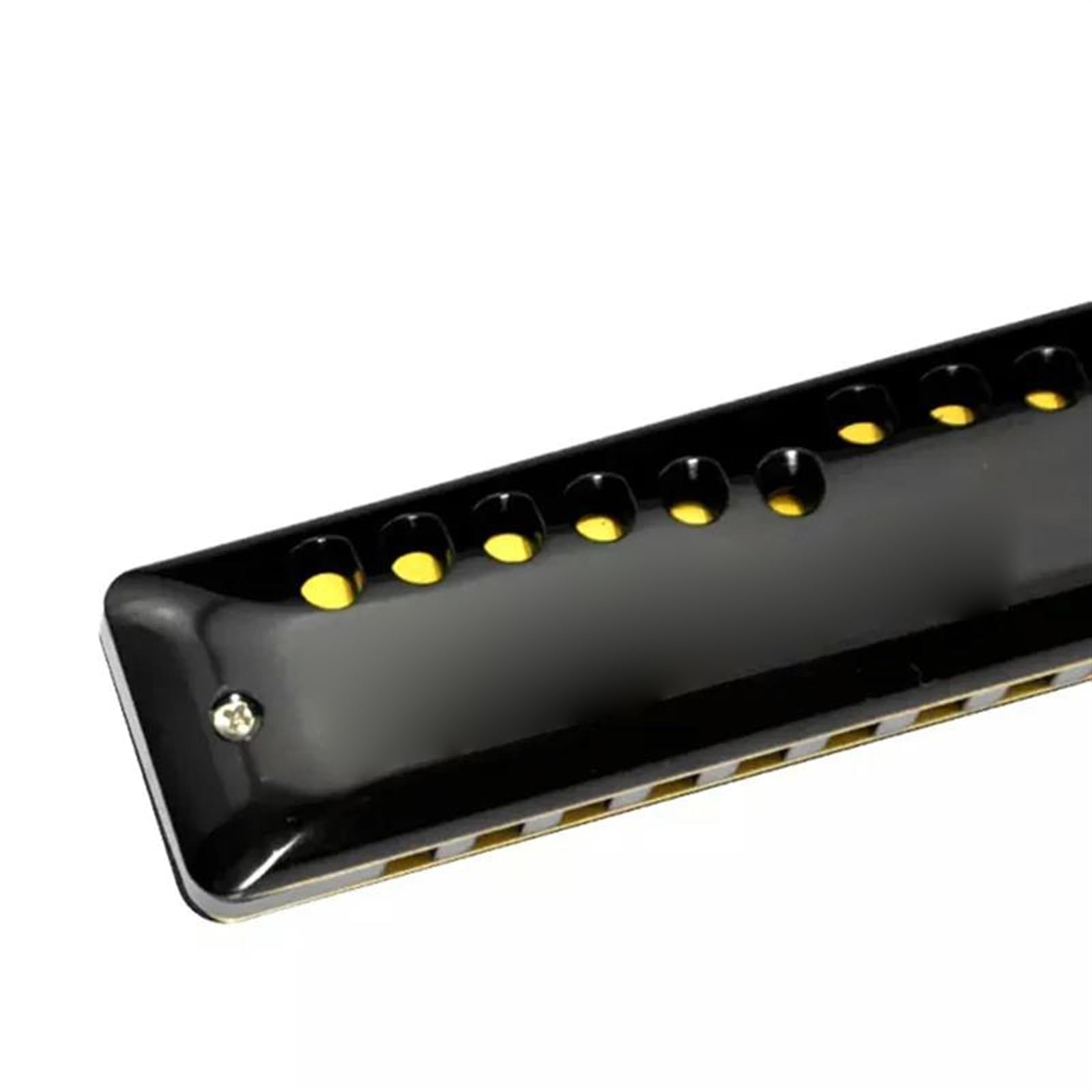 Armonica diatonica, 10 Hole Diatonic Harmonica Key Of C Professional Student Harmonica Is Easy To Use And Durable harmonica Beginners