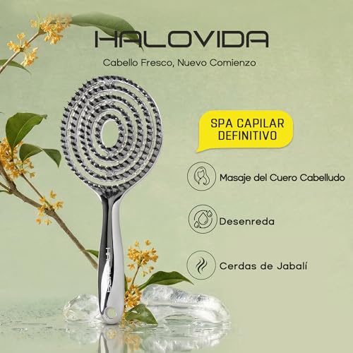 Catálogo de Cepillos que puedes comprar esta semana. 20 Imagen adicional