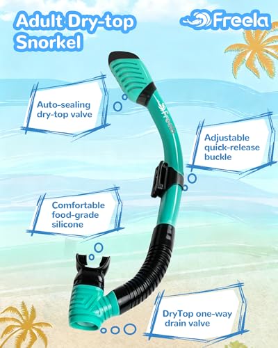 Kids Dry Snorkel Set Scuba Diving Mask 180° View Anti-Fog Snorkeling Kit - image 6