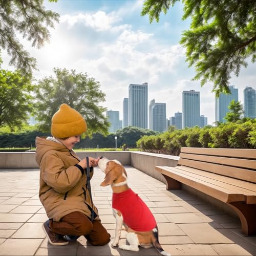 Hundepullover Kleine Hunde,2 Stück Hundepullover,mit D-Ring Hunde Pullover,Hundepulli für Kleine Hunde,Geeignet für Den Innen-und Außenbereich Im Herbst und Winter (Rot,Blau)