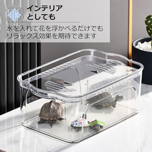 Asdays 金魚鉢 水槽 メダカ 金魚 飼育 大容量 アクアリウム 観葉植物 インテリア 容器 ボウル プラスチック 透明 (大:36×26.5×15.5cm) の商品画像 4