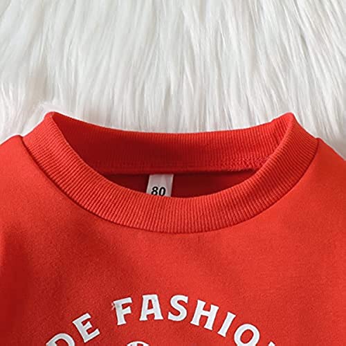 Image of Baby Boy Girl Pumpkin Sweatshirt Tops Toddler Halloween Outfit Long Sleeve Crewneck Pullover Sweater Shirt Fall Clothes