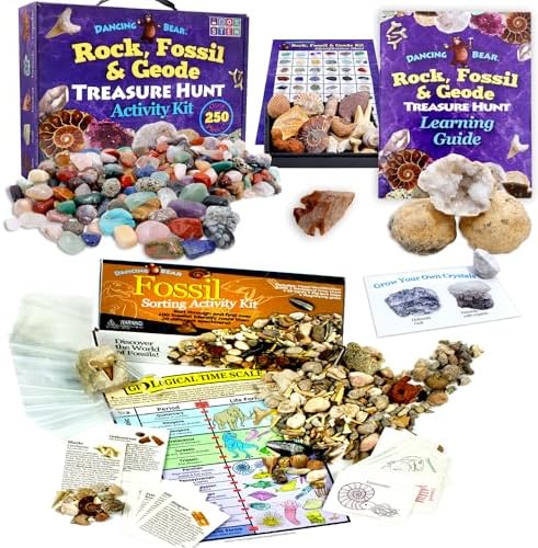 DANCING BEAR Geology Fossil Bundle – 2 STEM Activity Kits: Rock, ...