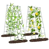 Ytaoeo Metall Gurke Rankgitter Tomaten Rankhilfe Garten 2 Stück, Spalier Gitternetz Kletterpflanzen Pflanzenstütze für Blumen & Nutzpflanzen, Einstellbare Breite, Grün