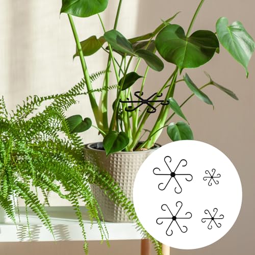 Peutier 1019437 4Pcs Climbing Houseplant Stem Supports thumb #6