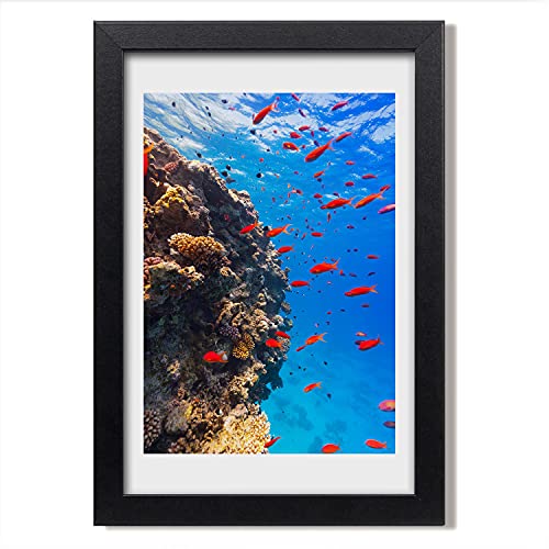 Tulup Image Cadre MDF Tableau 20x30 cm Peinture Récif Corallien Affiche Moderne