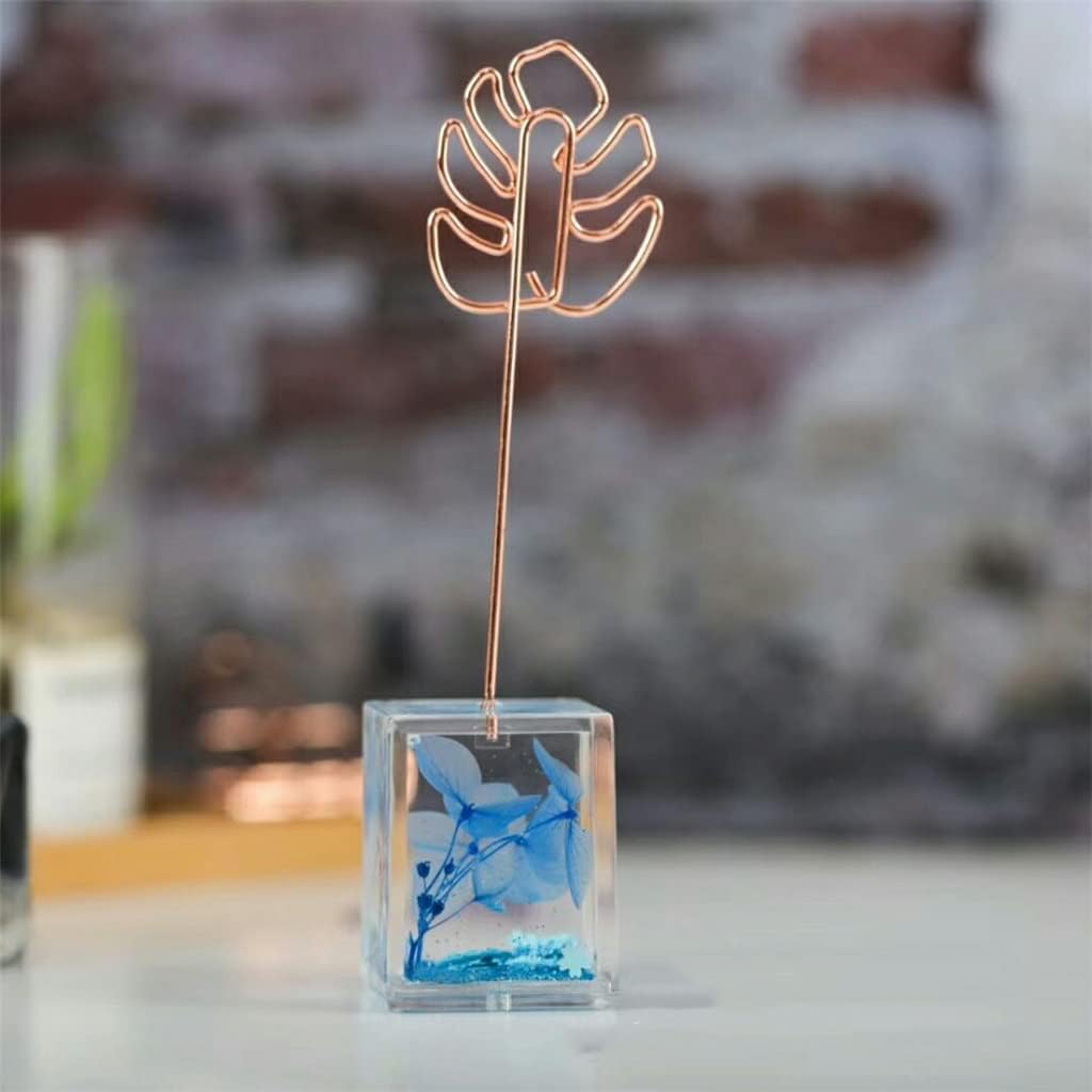 Plant Series Dried Flower Message Clip Photo Desktop Decoration Note Memo