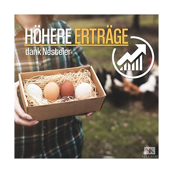Kellago Holzeier Ostern Deko [ Ostereier BEMALEN ] 6X Holzeier für Osterdekoration - Ostern Basteln Kinder - Ostereier… – Bild 9
