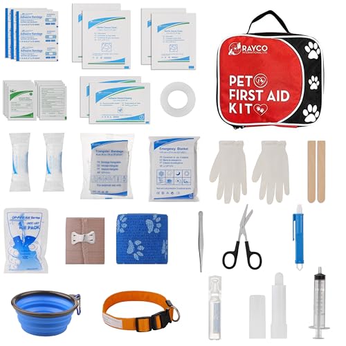 Traveling with Cats in a Car Long Distance (17 Essential Tips)