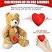 XLW Voice Recorder,350s Voice Box for Recordable Gifts Button Sound Box for Stuffed Animals, Christmas Valentine's Day Plush Toy & Manual DIY Creative Sound Gifts for Boys, Girls (Red)