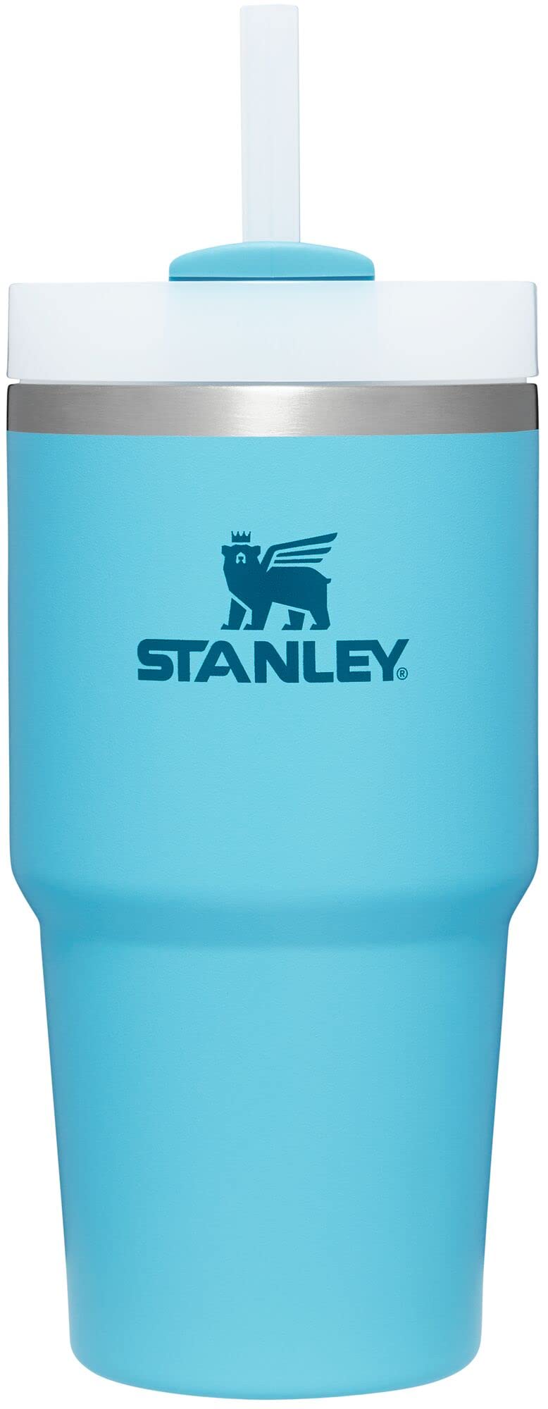 Stanley Quencher H2.0 FlowState Stainless Steel Vacuum Insulated Tumbler with Lid and Straw for Water, Iced Tea or Coffee, Smoothie and More, Pool, 20 oz