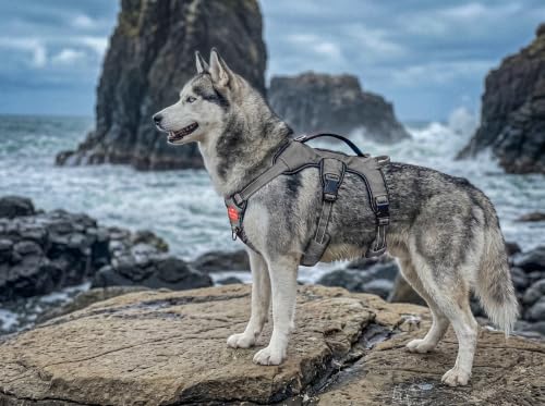 Image of Tuff Pupper Updated for 2022 - Tracker No Escape Dog Harness | Dual Escape Proof Leash Attachments | 5 Point Adjustable Fit Harness for Dogs | Padded Dog Harness for Comfort | Handle Dog Lift Harness