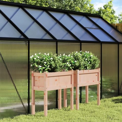 Grande capacità: la fioriera da esterno offre molto spazio per coltivare tutte le tue verdure, fiori e altre piante