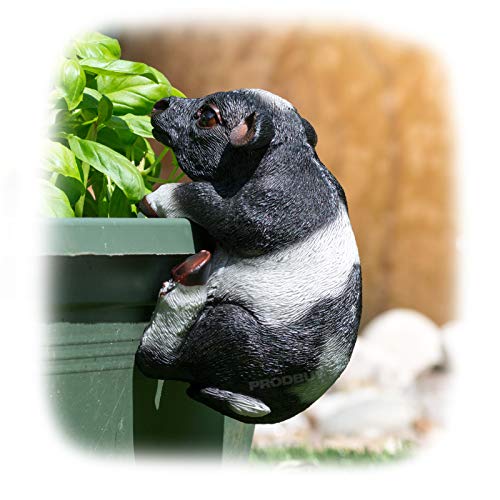 ProdBuy Home Décoration de jardin à suspendre Motif vache noire et blanche Cover