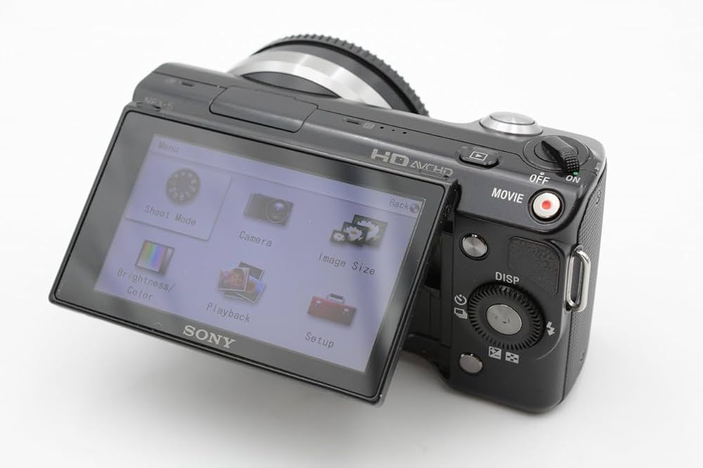 Buy Sony Alpha NEX NEX5 Digital Camera (Body Only) Black Online at