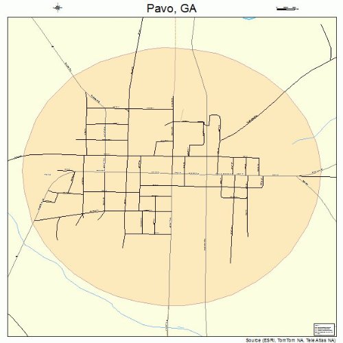 Large Street & Road Map of Pavo, GA Printed poster size wall