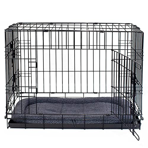 Top 10 Kong Dog Crates of 2023 Best Reviews Guide