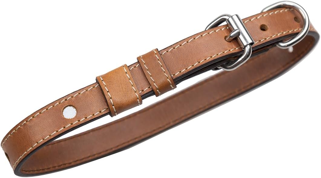 Personalized Leather Dog Collar - Custom Engraving - Handcrafted - Full Grain Leather (Vegetable Tanned) - Stainless Steel Hardware - Cayenne, Medium
