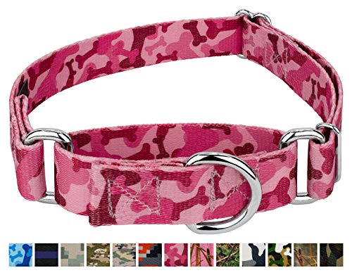 country brook design martingale dog collar