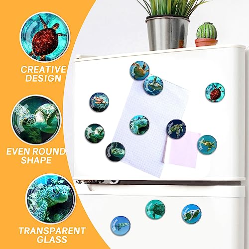 Imanes decorativos animales para refrigerador, pack 12 piezas miniatura 2