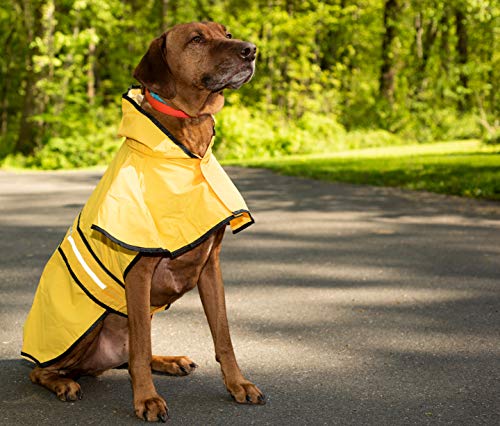 SPOT Rainy Days Slicker - Yellow Dog Rain Jacket With Hood, Reflective Strip for Safety, Leash Hole & Adjustable Velcro Belly Strap, 100% Polyester Water Resistant Pet Raincoat - Medium, 13in Long by SPOT - Image 6