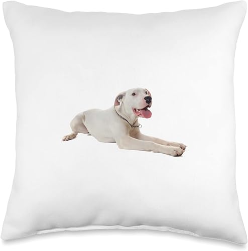 Cute Dogo Argentino Almohada de tiro 16x16, multicolor