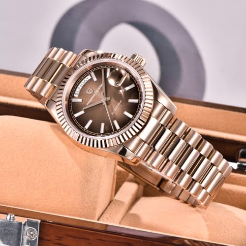 Image of LACZ DENTON Pagani Design DD36 Men's Watches Luxury Automatic Watch Men AR Sapphire Glass Mechanical Wristwatch Men 10Bar ST16 Movement