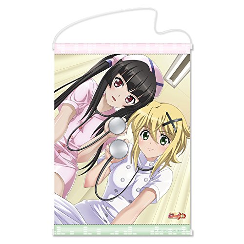 Tapisserie A3 Senki Zessho Symphogear XD Unlimited manteau blanc