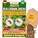 Produktbild GREEN GUARDIA Power Hypoaspis miles Raubmilben gegen Trauermücken & Rote Vogelmilben  Streuware - Umweltfreundliches Mittel zur effektiven Schädlingsbekämpfung  (5x Tüten für 50m²)