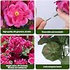 Artificial Geranium Fake Flowers for Outdoors Decoration, 6 Bundles Silk Geraniums Flower UV Resistant Look Real Faux Plants for Front Door Garden Porch Planter Patio Balcony Yard Indoor Home, Mix