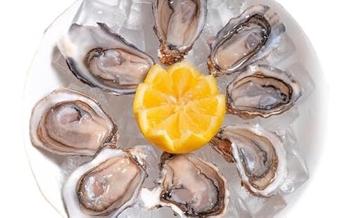 厚岸産 殻付き牡蠣(カキえもん)20個 生食用 ナイフ付(1個40〜59g) 魚貝類 生牡蠣 かき 簡易ナイフ付