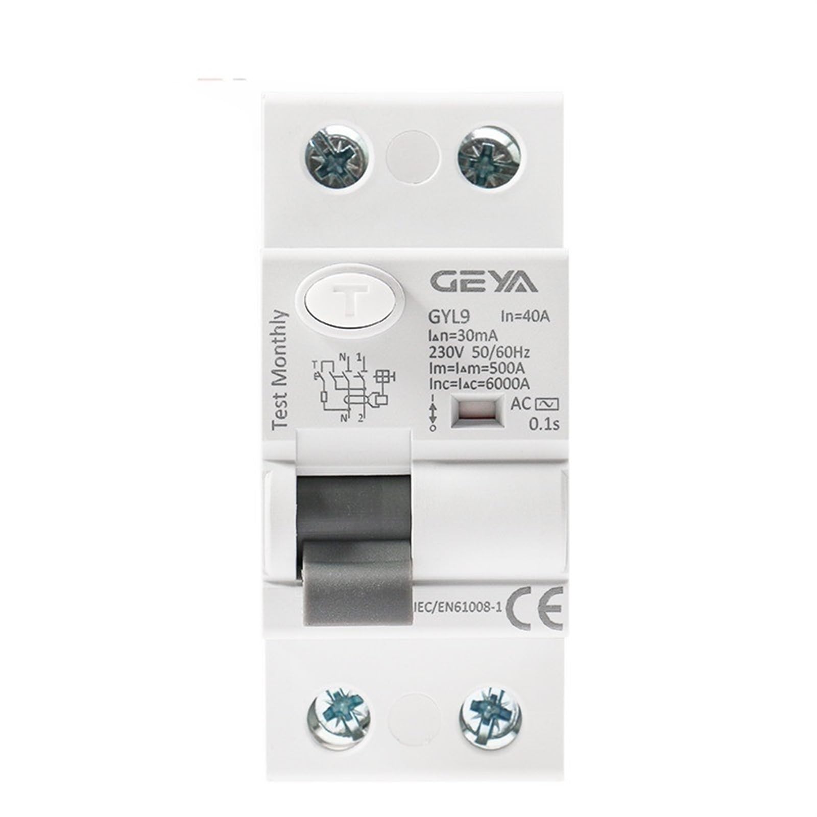 RCD 6KA 2P GYL9 type AC interrupteur différentiel 100A pour fuite de courant 100mA