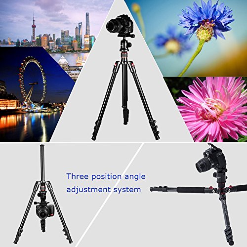 Mcoplus CT-628 63-inch CameraTripod for DSLR, Aluminium Alloy Portable Lightweight Tripod with 360° Panorama Ball Head,1/4" Quick Shoe Plate and Carry Bag