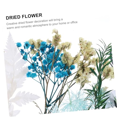 ORFOFE Kit de Flores Secas Naturales para Manualidades miniatura 7