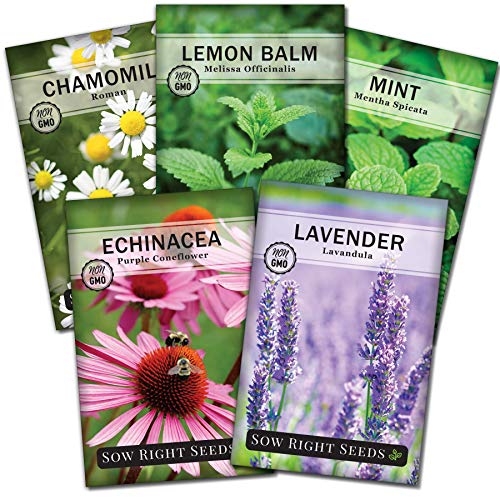 Best Outdoor Seeds